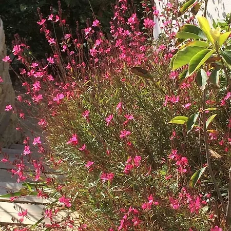 Lousoan فندق مبيت وإفطار